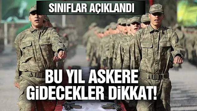 Bedelli Askerlik Yapacak Yükümlülerin Sınıfları Açıklandı
