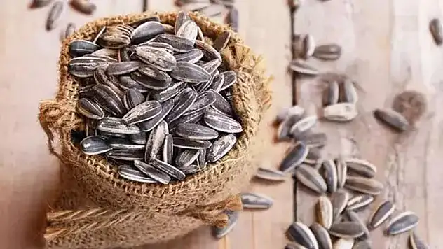 Çekirdek Paketinin İçinden Yılan Kafası Çıktı!