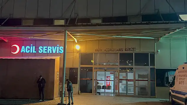 Ceviz Ağacından Düşen Muhtar Öldü
