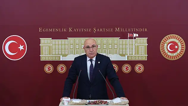 CHP'li Tanal'dan 30 Ağustos Mesajı