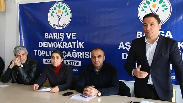 DEM Parti Siirt Teşkilatından Sürece İlişkin Halk Toplantıları