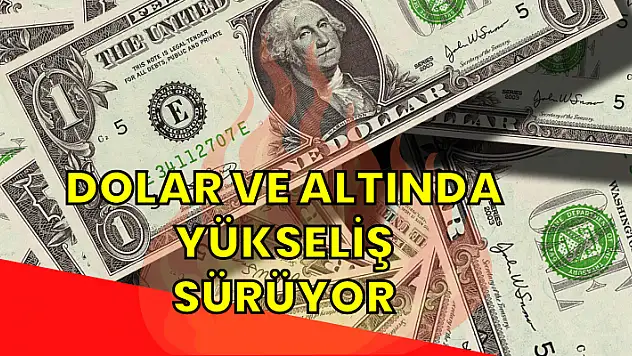 Dolar 23 , Euro 24 , Gram Altın 1.450 Lirayı Aşarak Tüm Zamanların Rekorunu Kırdı