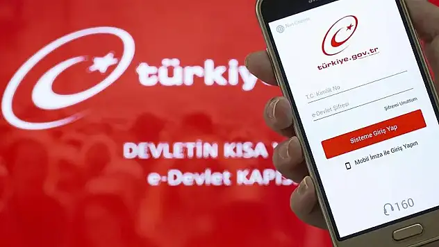 e-Devlet Üzerinden 234 Bin 588 Kişi Engelli Kimlik Kartı Sahibi Oldu