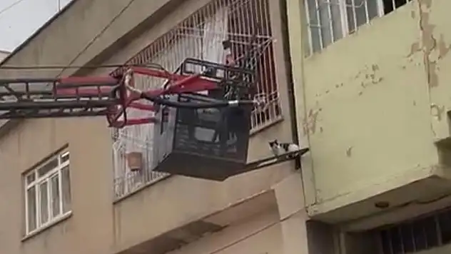 Elektrik Direğinde Mahsur Kalan Kediyi İtfaiye Kurtardı