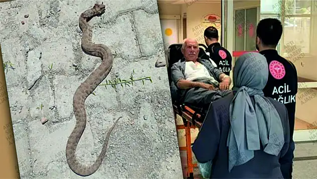 Eruh İlçemizde Yılan Sokması Sonucu Yaralanan 65 Yaşındaki Adam Hastaneye Kaldırıldı