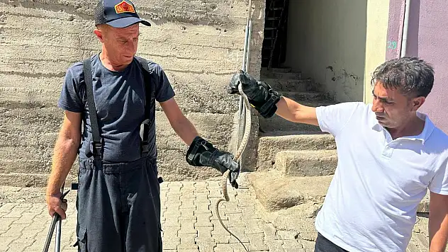 Eve Giren Yılan, İtfaiye Ekipleri Tarafından Yakalandı
