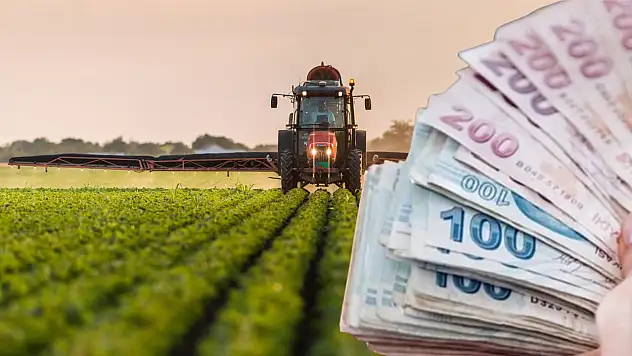 Genç Çiftçiye Köye Dönüş Teşviki: Bedelsiz Arazi, Düşük Faizli Kredi ve Konut Desteği Yolda