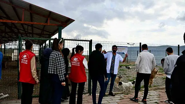 Gençlik Merkezi Çalışanları ve Gönüllüleri Hayvan Bakımevini Ziyaret Etti