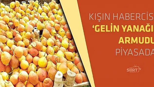 Ğettıl Arus (Gelin Yanağı) Piyasada