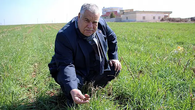 Güneydoğu'da Elektrik Borcu Olmayan Çiftçilerden Sitem: 'Sen Ödemeyince Biz Sıkıntı Yaşıyoruz!'