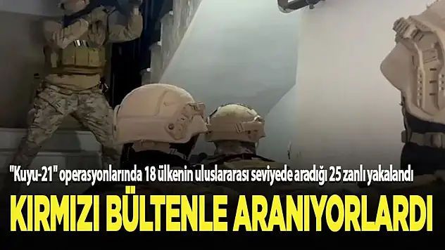 İçişleri Bakanı Yerlikaya: Kırmızı Bültenle Aranan 25 Şüpheli Yakalandı