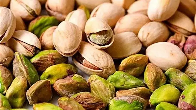 Kaçak İran Fıstığı, Siirt Fıstıkçılığına Zarar Veriyor!