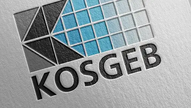 KOSGEB Siirt Müdürlüğü'nden 2025 Yılının İlk 3 Ayında 65 Milyon TL'lik Destek