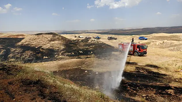 Kurtalan'da Buğday Tarlasında Yangın: 60 Dönüm Alan Zarar Gördü