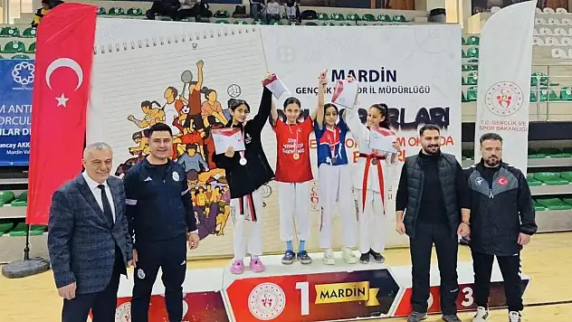 Mardin'de Düzenlenen Okul Sporları Taekwondo Yıldızlar Yarı Final Müsabakaları'nda Siirtli Sporcuların Başarısı