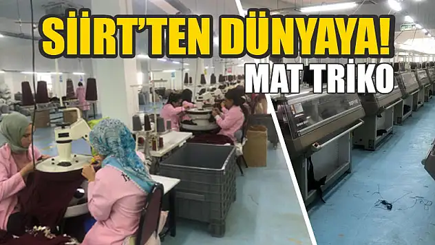 Mat Triko Kazakları, Zara Gibi Dev Markaların Reyonlarında