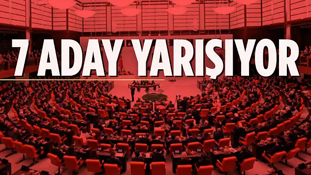 Meclis Başkanlığı İçin AKP Kurtulmuş'u, CHP Bingöl'ü, YSP Oruç'u, İyi Parti Paçacı'yı, Deva Yeneroğlu'nu, Gelecek Partisi Özbudun'u ve TİP Atalay'ı Aday Gösterdi