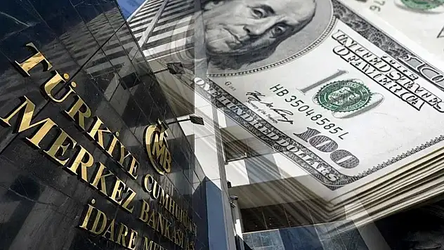 Merkez Bankası Anketi: Enflasyon ve Dolar Tahminlerinde Sınırlı İyimserlik