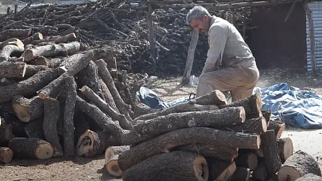 Odun ve Kömür Satışlarında Hareketlilik