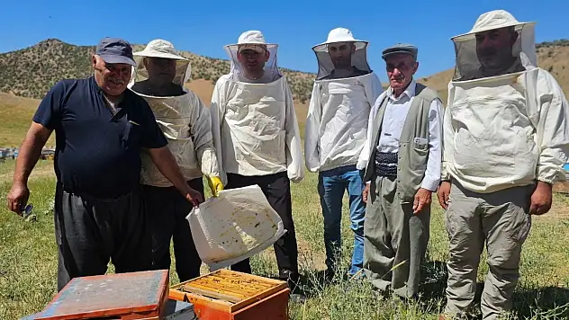 Pervari Kaymakam Gülderen Çeme Kari Yaylası'nda Arıcıları Ziyaret Etti