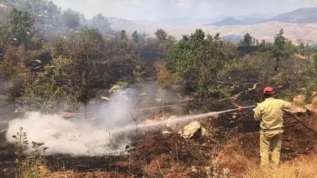 Pervari'de Büyük Alana Yayılan Yangın 5 Saatlik Çalışmayla Kontrol Altına Alındı