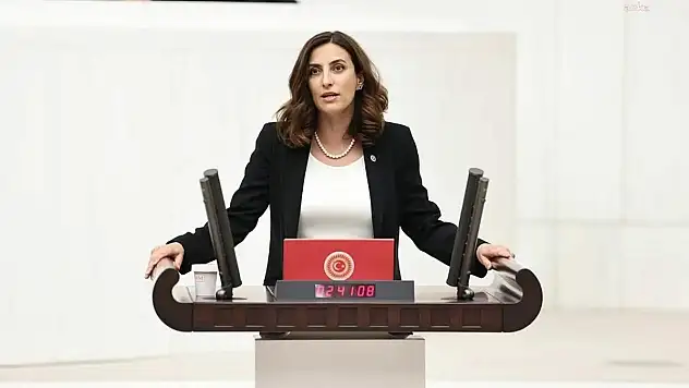 Rızvanoğlu, Diyarbakır-Mardin Yangınını İki Bakana Da Ayrı Ayrı Sorarak Meclis Gündemine Taşıdı
