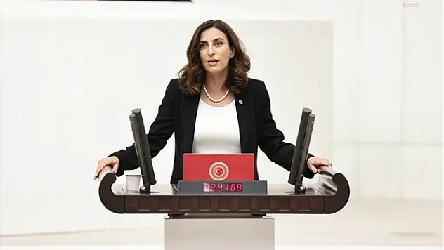 Rızvanoğlu: 'İklim Değişikliği Başkanlığı Bütçesi, Resmi Enflasyonun Dahi Çok Altında Kaldı'