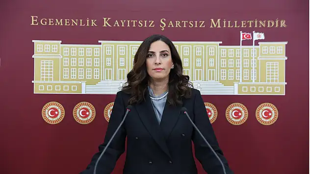 Rızvanoğlu, İklim Kanunu Teklifi'ni Eleştirdi