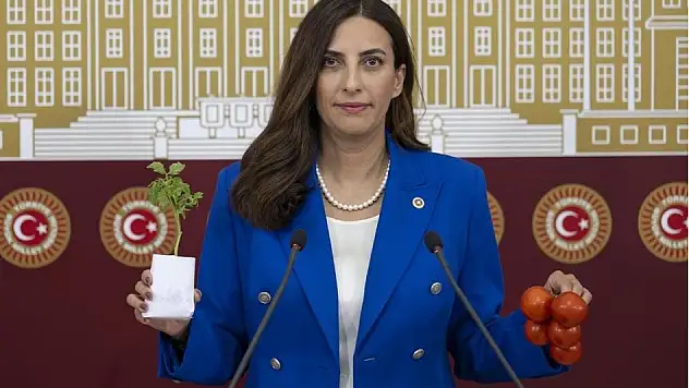Rızvanoğlu'ndan Tarım Bakanı'na pestisit uyarısı