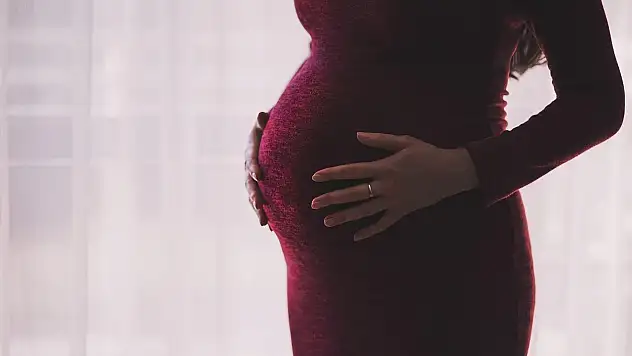 Sağlık Bakanlığı'ndan Riskli Gebeler İçin Yeni Takip Sistemi
