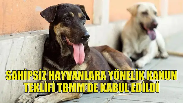 Sahipsiz Hayvanlara Yönelik Kanun Teklifini Kabul Eden TBMM Tatile Girdi