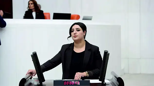 Sarıtaş, Kayıp Çocuklar ve Çocuk İstismarı Meselelerini TBMM'nde Dile Getirdi (VİDEOLU)