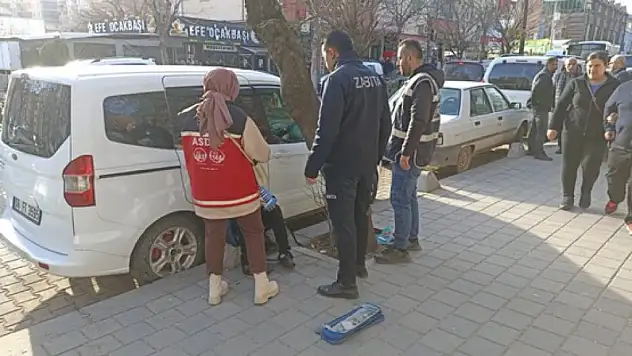 Siirt Aile Sosyal Politikalar, Emniyet ve Belediye İş Birliğiyle Sokakta Çalışan Çocukları Tespit Ederek Koruma Altına Alıyor