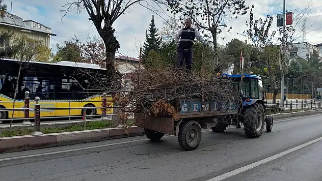 Siirt Belediyesi Ağaç Budama Çalışmalarına Devam Ediyor