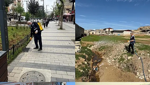 Siirt Belediyesi'nden Çevre Temizliği Seferberliği