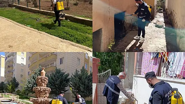 Siirt Belediyesi'nden Haşereyle Mücadele ve Temizlik Seferberliği
