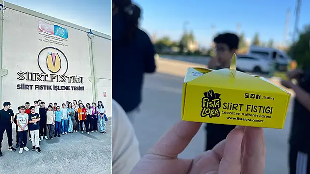 Siirt English Time Öğrencileri, Fıstık İşleme Tesisini İngilizce Rehberlikle Gezdi