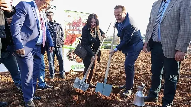 Siirt Fıstığı Artık Mersin'de de Yetişecek