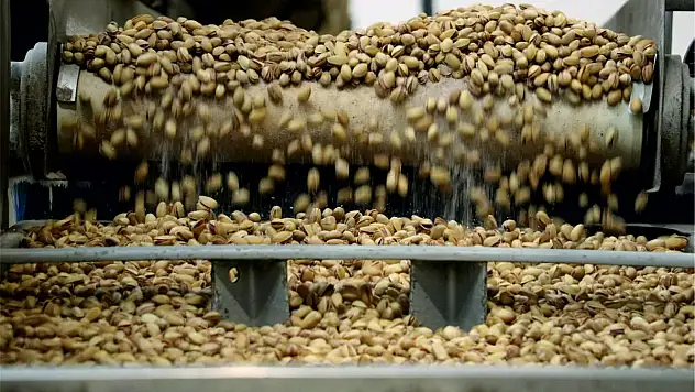 Siirt Fıstığı İşleme Sanayi ve Ticaret A.Ş.'den Üreticilere Çağrı