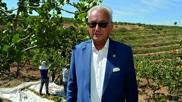Siirt Fıstığında Hileli Ticarete Tepki!