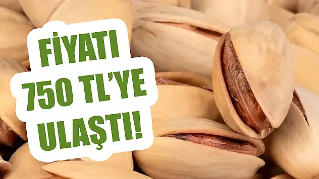 Siirt Fıstığının Kilosu 750 TL'yi Gördü!