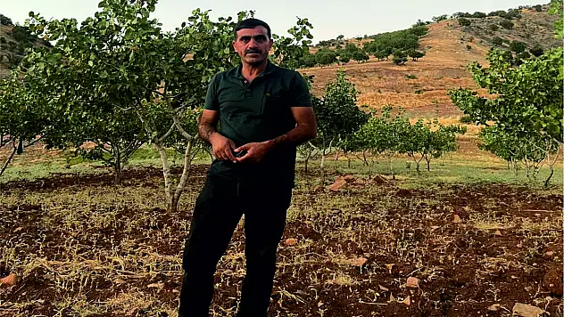 Siirt Fiyat Cetveli, Kamulaştırmada Vatandaşı Mağdur Ediyor