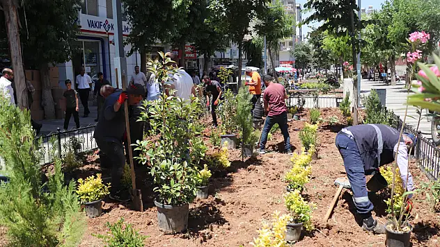 Siirt Güres Caddesi'nde Temizlik ve Peyzajla Yeni Bir Yüz