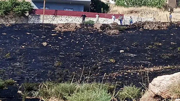 Siirt Merkeze Bağlı Doluharman Köyünde Çıkan Anız Yangını Bağlara Sıçramadan Söndürüldü