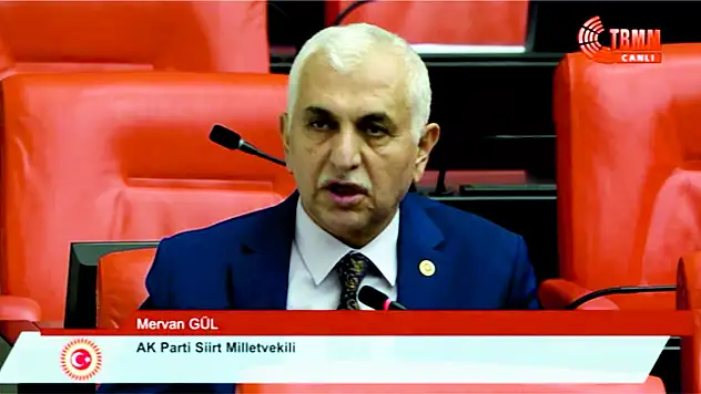 Siirt Milletvekili Mervan Gül, Ticaret Bakanından Önemli Taleplerde Bulundu (Videolu Haber)