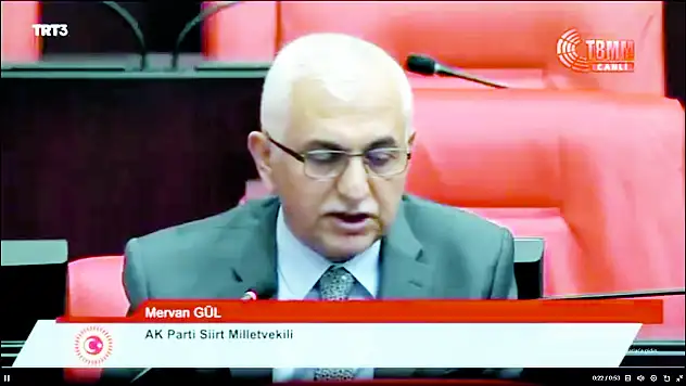 Siirt Milletvekili Mervan Gül'den Yeni Cezaevi Açıklaması