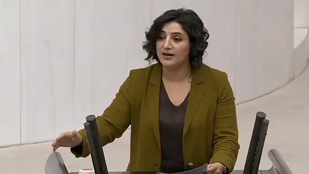 Siirt Milletvekili Sabahat Erdoğan Sarıtaş, Güvenlik Şube Müdürü İle İlgili Soru Önergesi Verdi