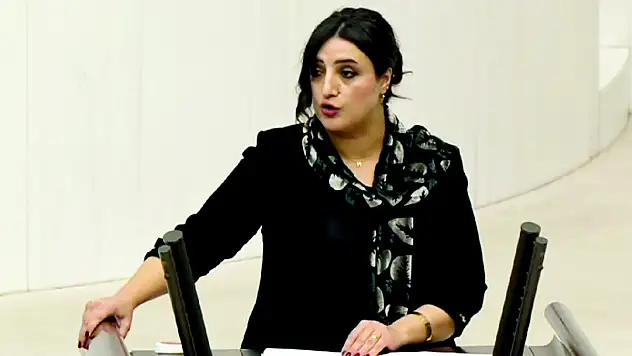 Siirt Milletvekili Sabahat Erdoğan Sarıtaş, Bilgi Teknolojileri ve İletişim Kurumu Hakkında Söz Aldı
