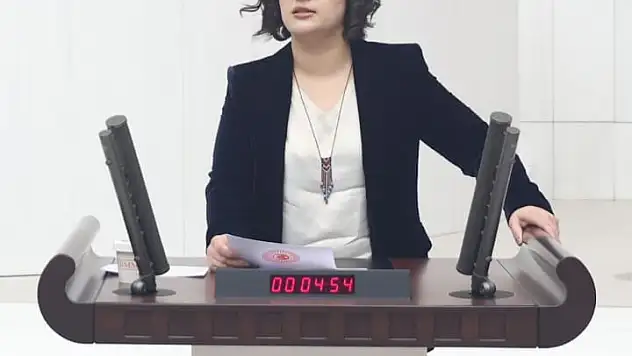 Siirt Milletvekili Sarıtaş, İçişleri Bakanlığına Seçmen Kayıtlarının Kaydırılması İle İlgili Soru Önergesi Verdi!