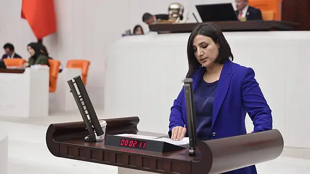 Siirt Milletvekili Sarıtaş, Kezer Çayı'nda 13 Yaşındaki Çocuğun Boğulması Olayını Meclis Gündemine Taşıdı